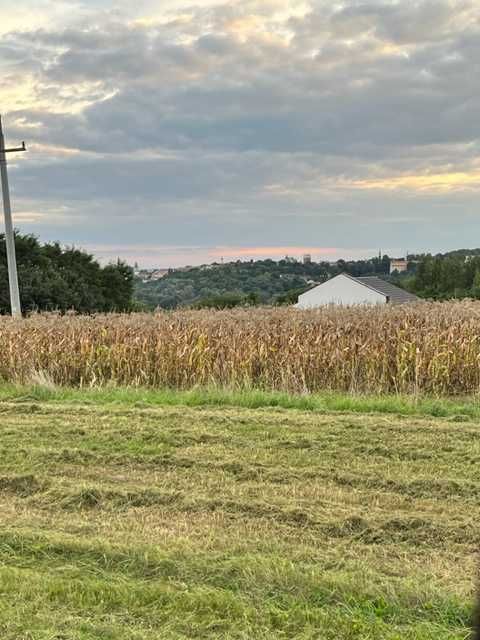 Działka rolno-budowlana Sandomierz, ul. Panoramiczna. Zdjęcie 4