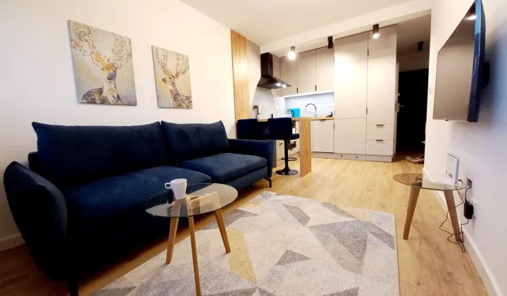 Mieszkanie 1-pokojowe Wrocław Fabryczna, ul. Lotnicza