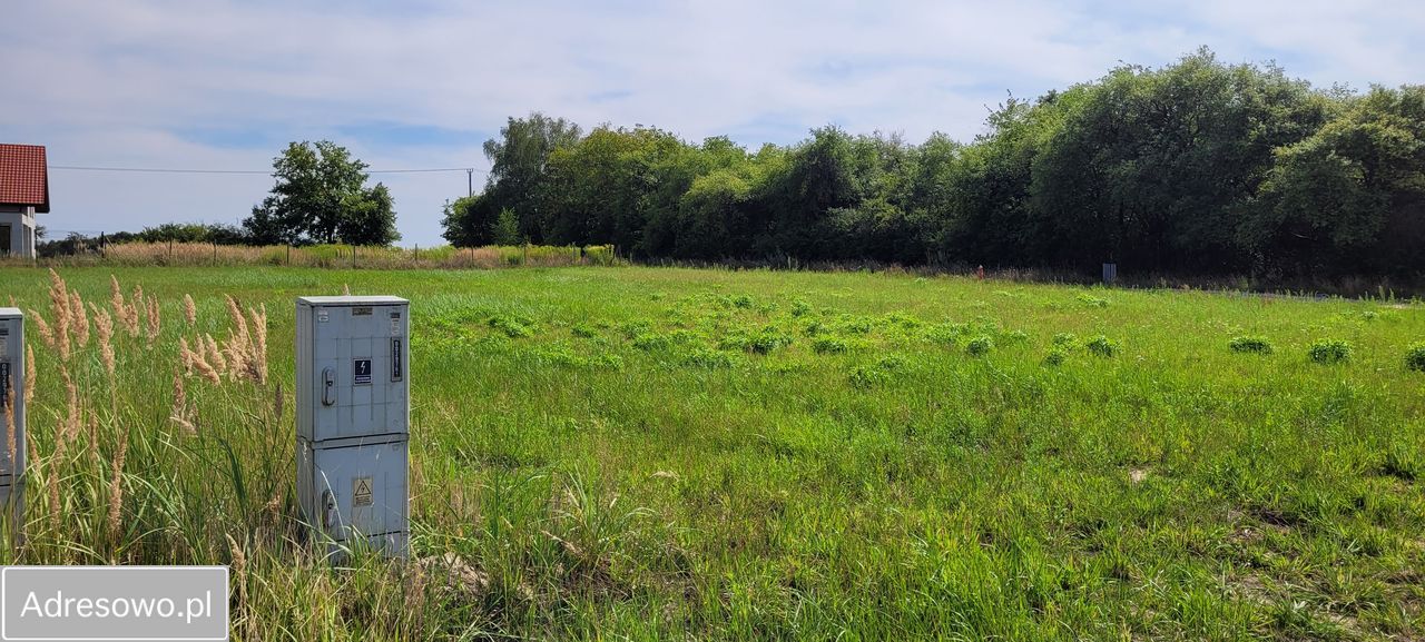 Działka budowlana Katarzynki, ul. Astrowa. Zdjęcie 7