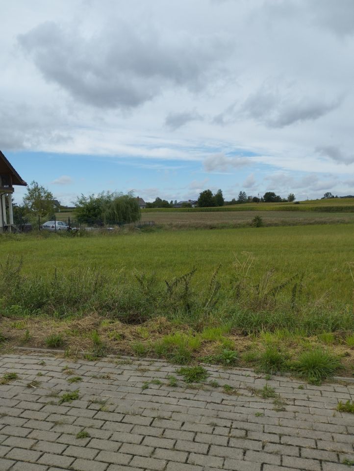 Działka rolno-budowlana Krupin. Zdjęcie 8