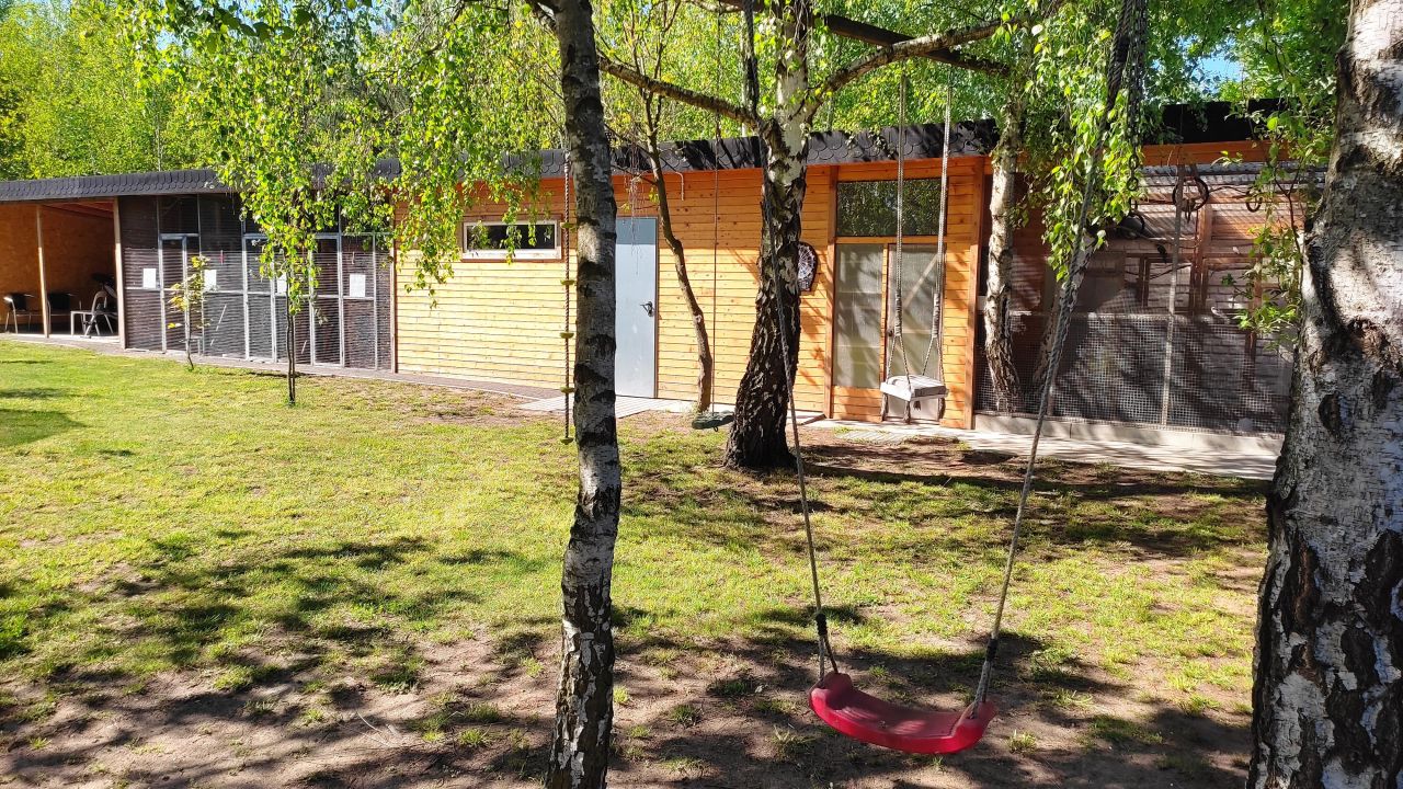 Działka budowlana Głodowo. Zdjęcie 7