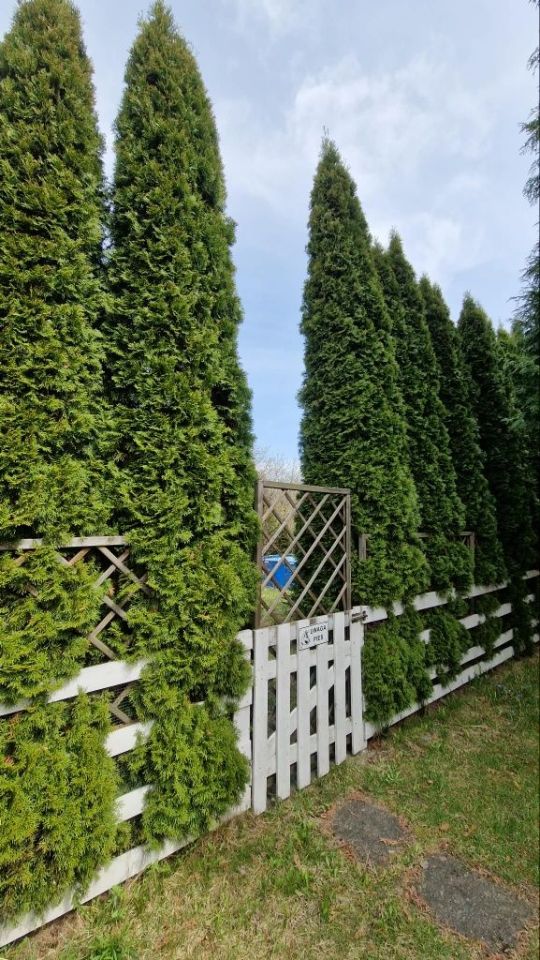 Działka rod Łódź Bałuty, ul. Telefoniczna. Zdjęcie 2