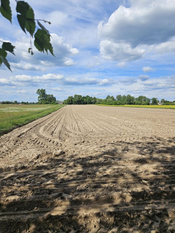Działka budowlana Czermno. Zdjęcie 9