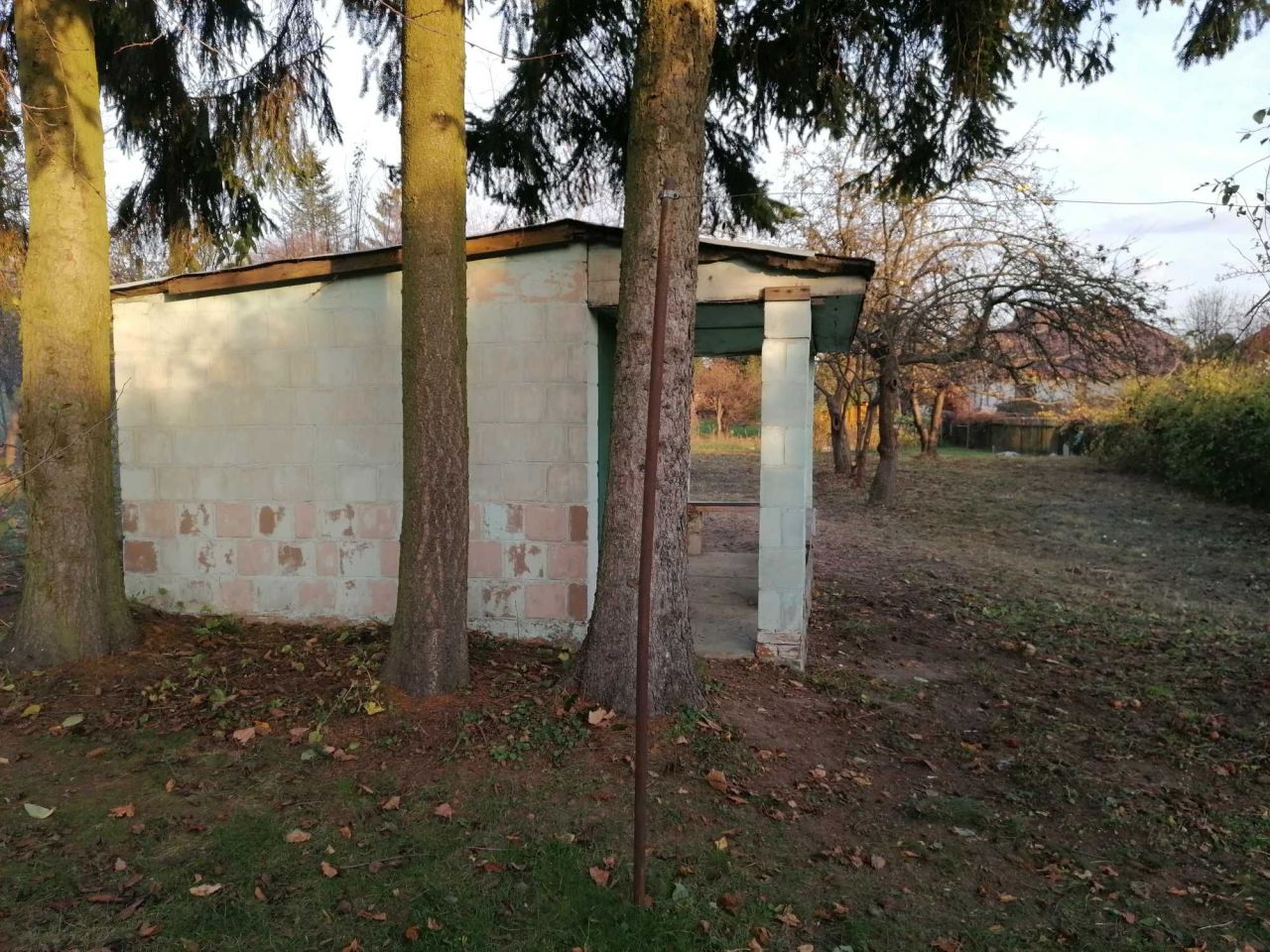 Działka rod Elizówka. Zdjęcie 2