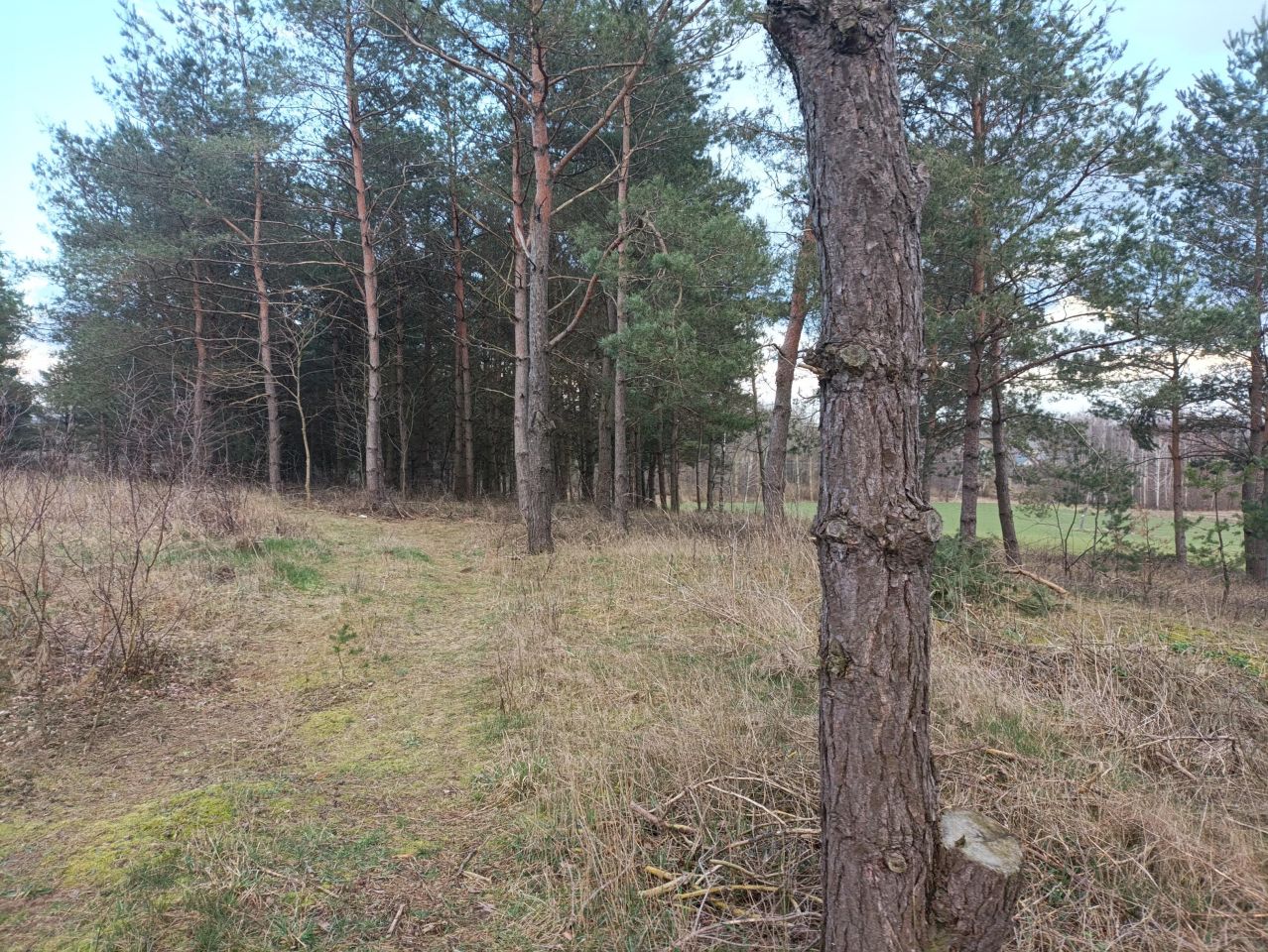 Działka budowlana Wylazłowo. Zdjęcie 7