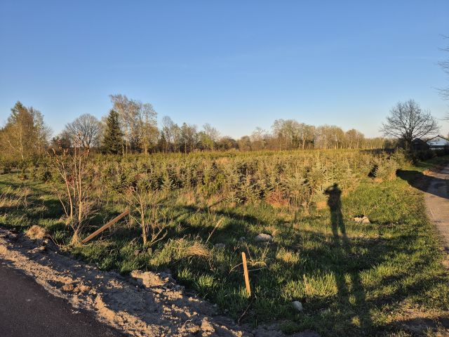 Działka rolno-budowlana Brzostówiec Cegielnia. Zdjęcie 3