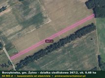 Działka siedliskowa Borzykówka. Zdjęcie 1