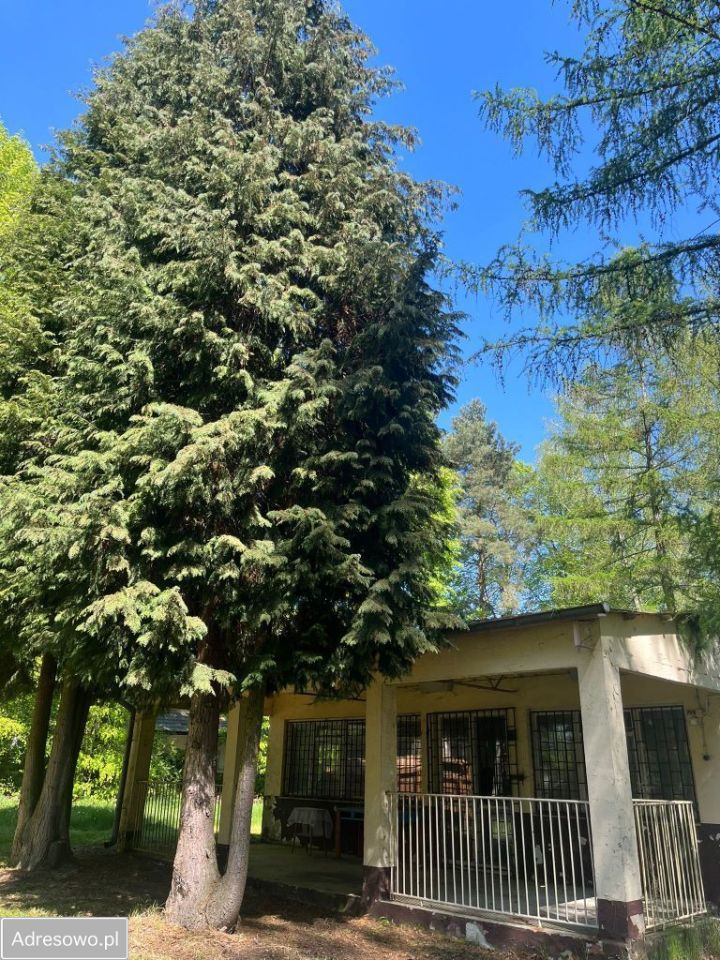 Nieruchomość komercyjna Mikorzyn. Zdjęcie 4