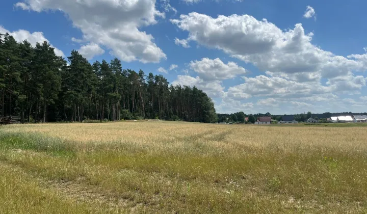 Działka budowlana Podańsko