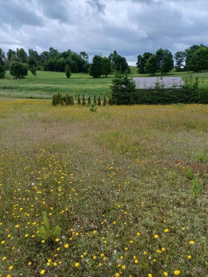 Działka budowlana Nowa Wieś Przywidzka, ul. Zielona. Zdjęcie 9