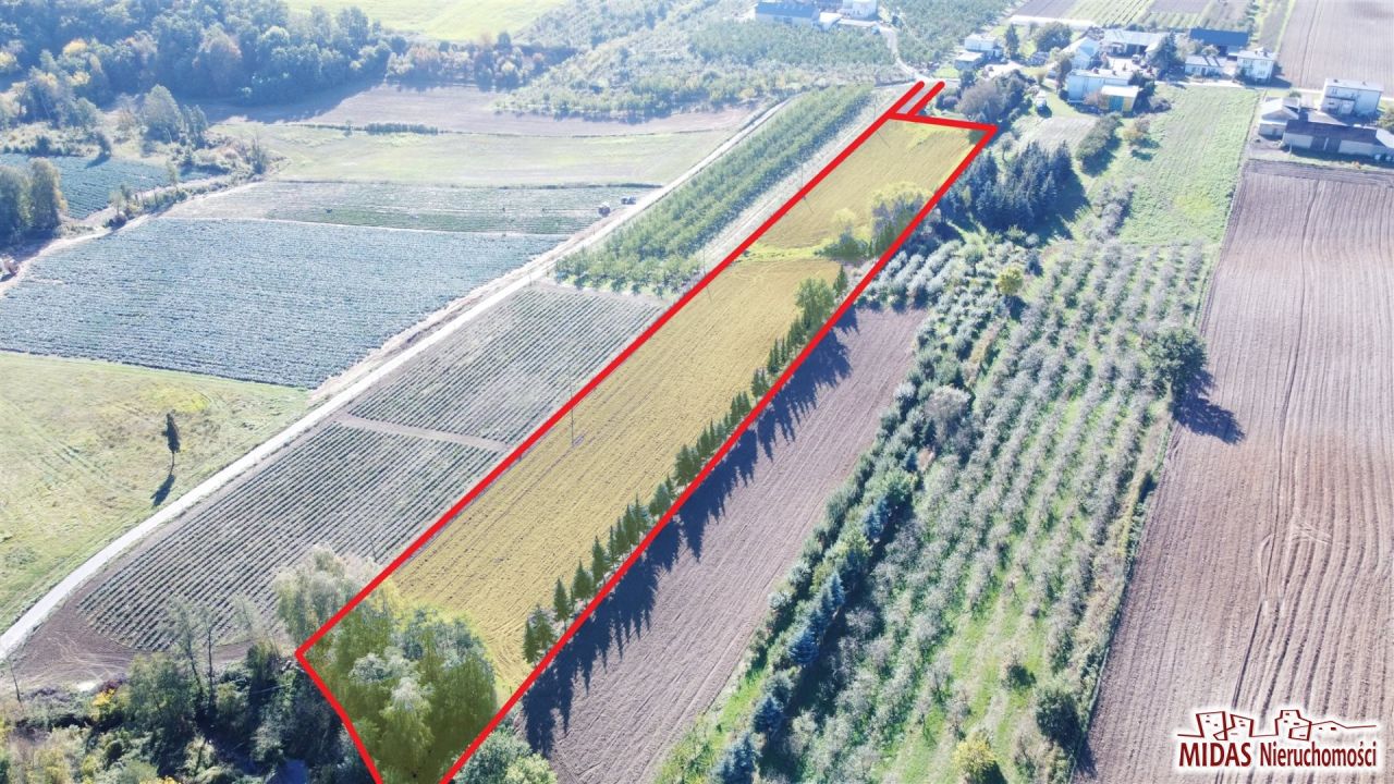 Działka budowlana Zarzeczewo. Zdjęcie 4