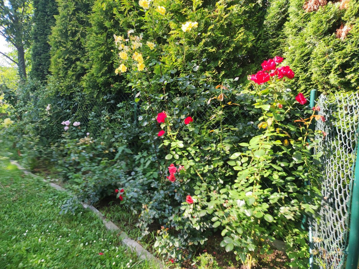 Działka budowlana Miedziana Góra. Zdjęcie 11