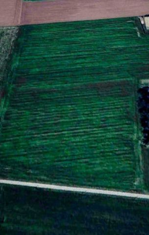 Działka rolna Nowa Wioska. Zdjęcie 1