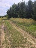Działka rolno-budowlana Klwatka Królewska. Zdjęcie 4