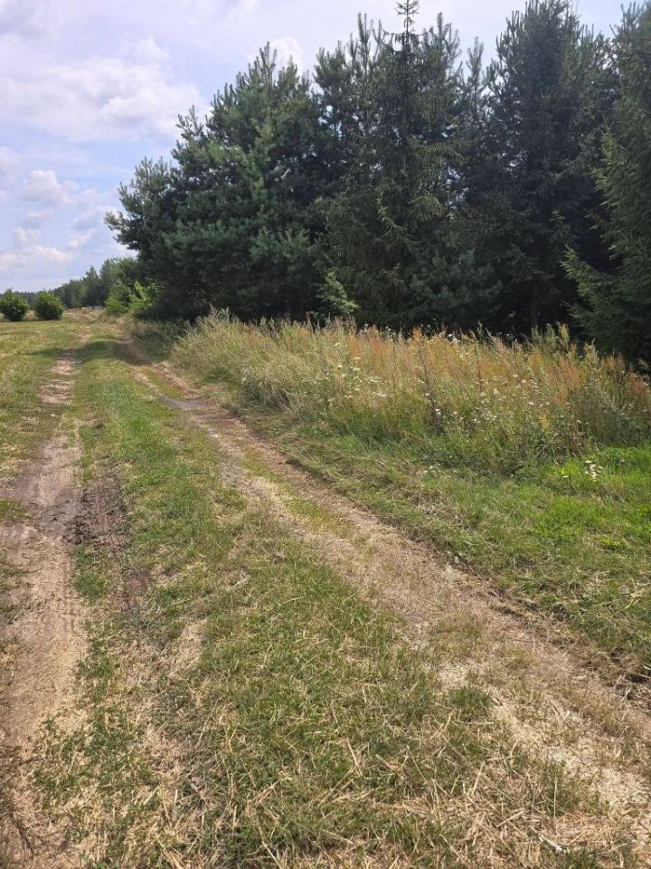 Działka rolno-budowlana Klwatka Królewska. Zdjęcie 5
