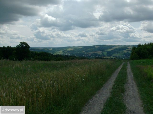 Działka rolna Glinik Zaborowski Duży Podlas. Zdjęcie 1