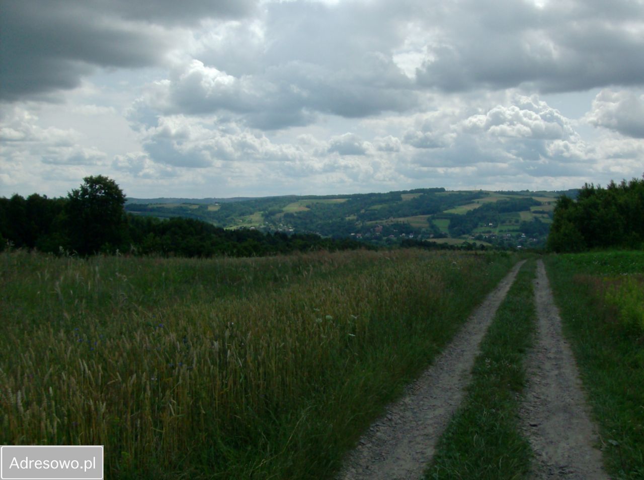 Działka rolna Glinik Zaborowski Duży Podlas