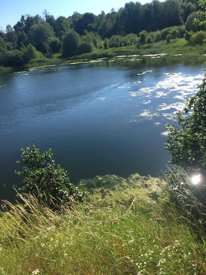 Działka inwestycyjna Grzybiny. Zdjęcie 6