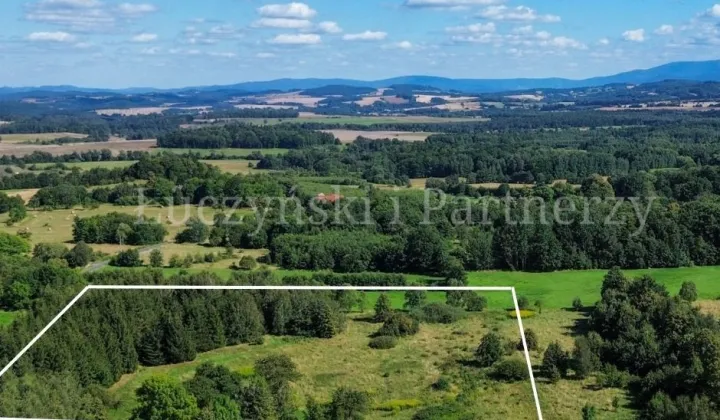 Działka siedliskowa Kłopotnica