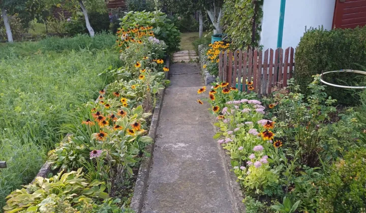 Działka rod Kwidzyn, ul. Furmańska