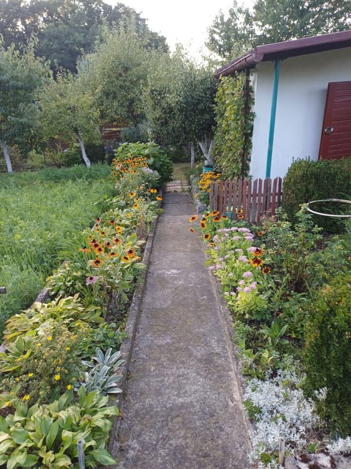 Działka rod Kwidzyn, ul. Furmańska