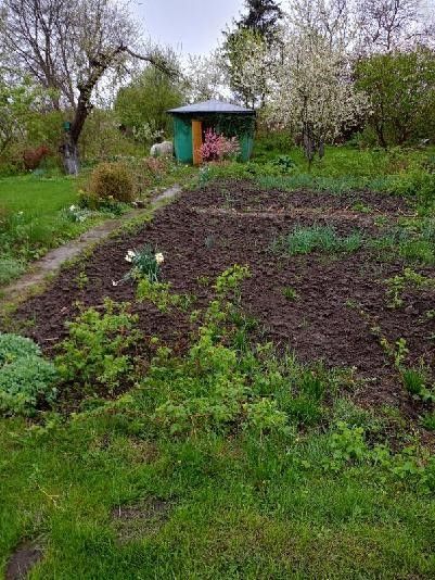 Działka rod Gdańsk Olszynka, ul. Olsztyńska. Zdjęcie 2
