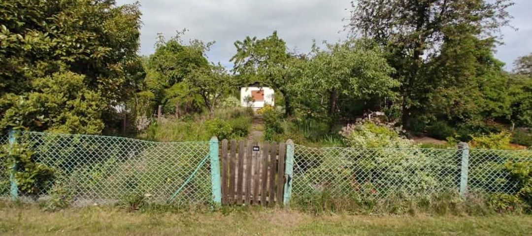 Działka rod Szczecin, ul. Hoża. Zdjęcie 8