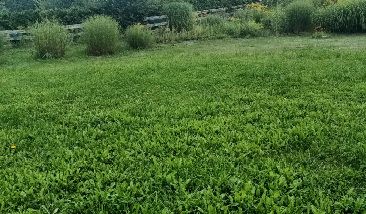 Działka budowlana Szabda, ul. Na Belfort