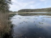 Działka siedliskowa Wierzchówko. Zdjęcie 3