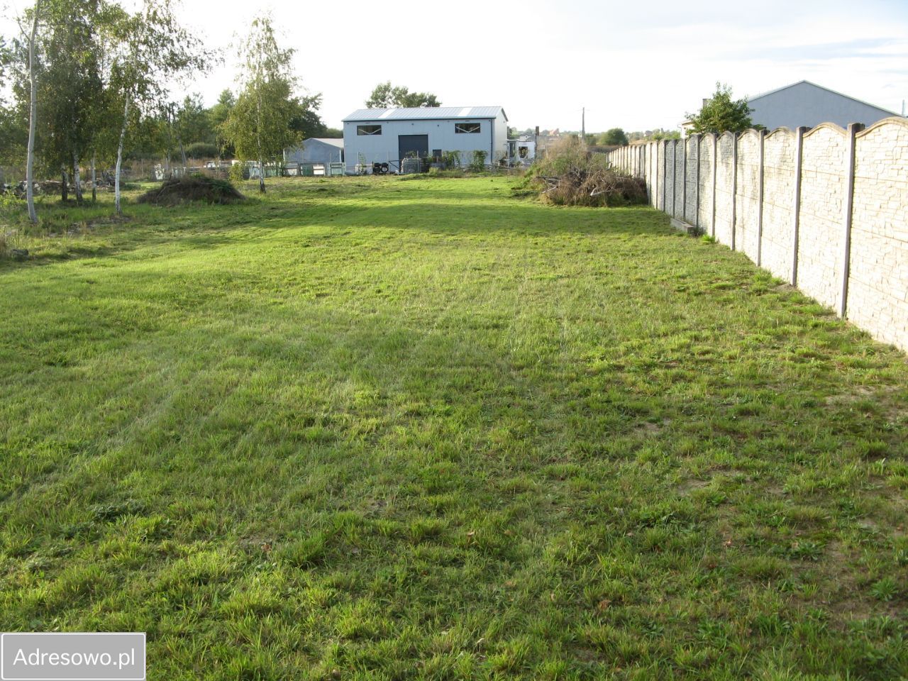 Działka inwestycyjna Prochowice. Zdjęcie 7