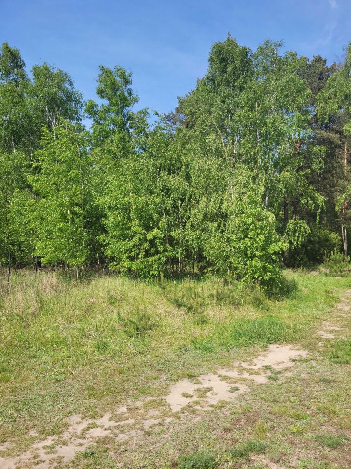 Działka budowlana Obrowo. Zdjęcie 4