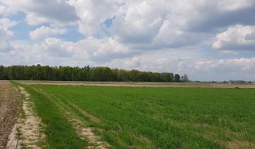 Działka budowlana Baboszewo, ul. Glinojecka