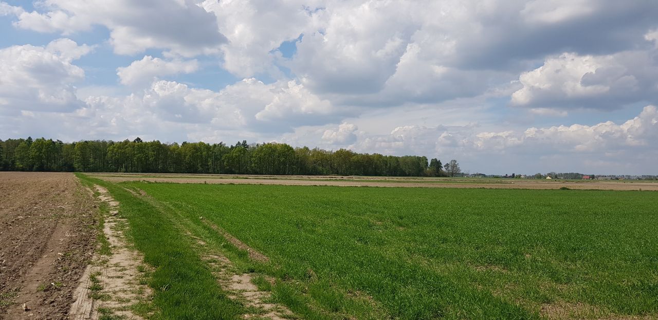 Działka budowlana Baboszewo, ul. Glinojecka. Zdjęcie 2