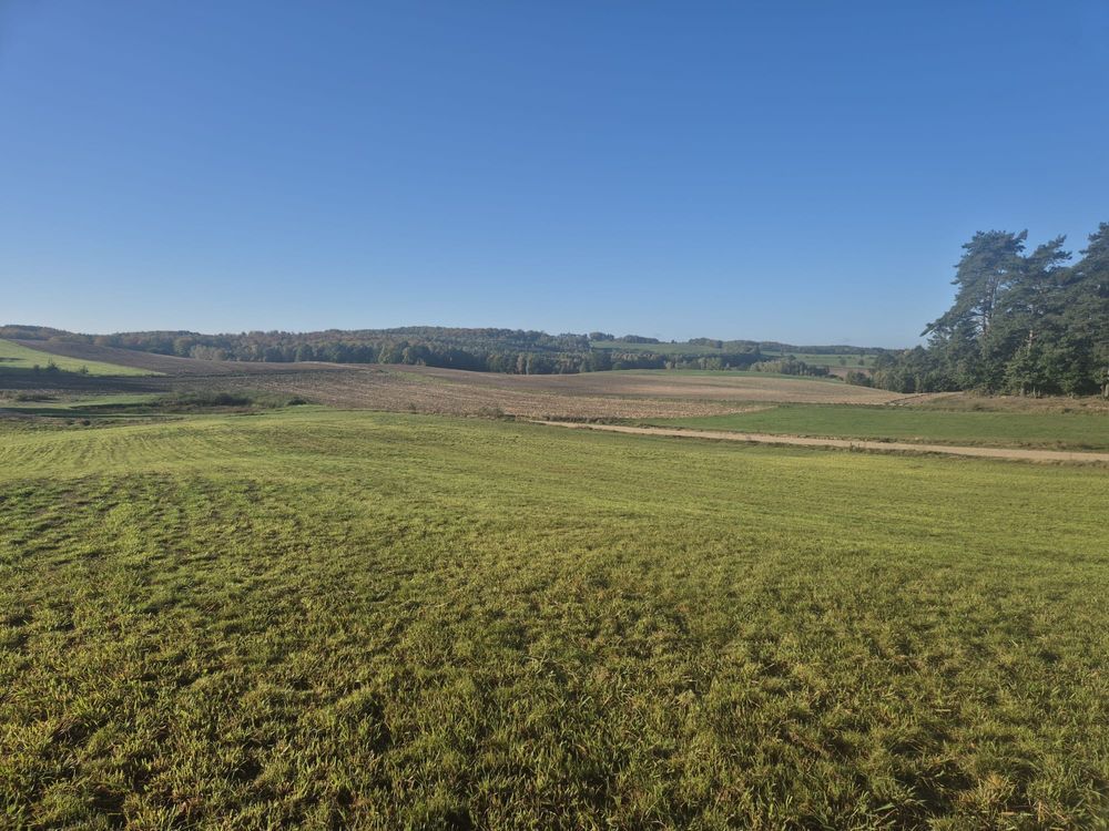 Działka budowlana Dąbrówka, ul. Rzeczna. Zdjęcie 4