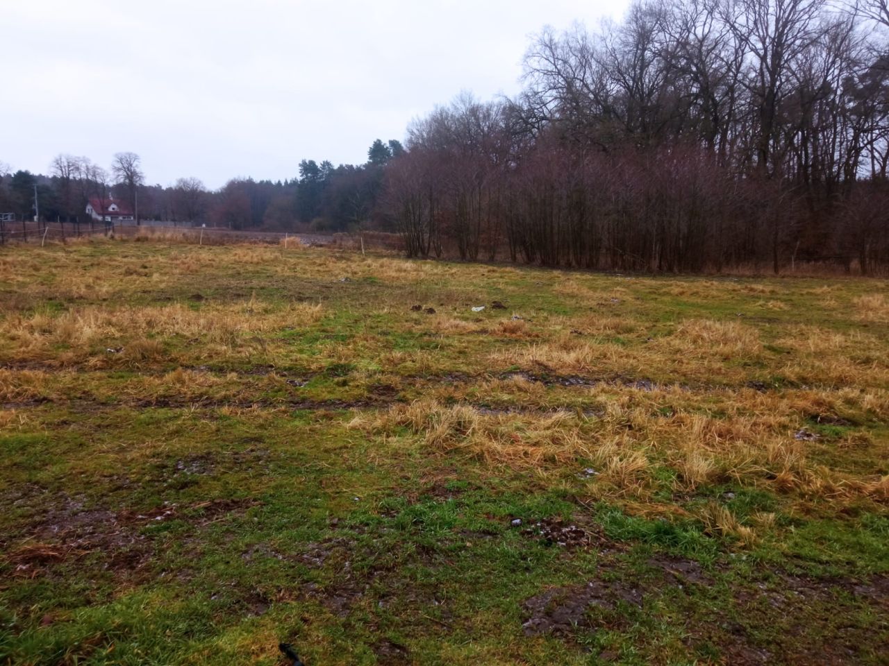 Działka rolna Przemocze, ul. Kasztanowa. Zdjęcie 4