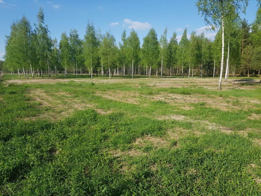 Działka rolno-budowlana Wola Chynowska. Zdjęcie 1