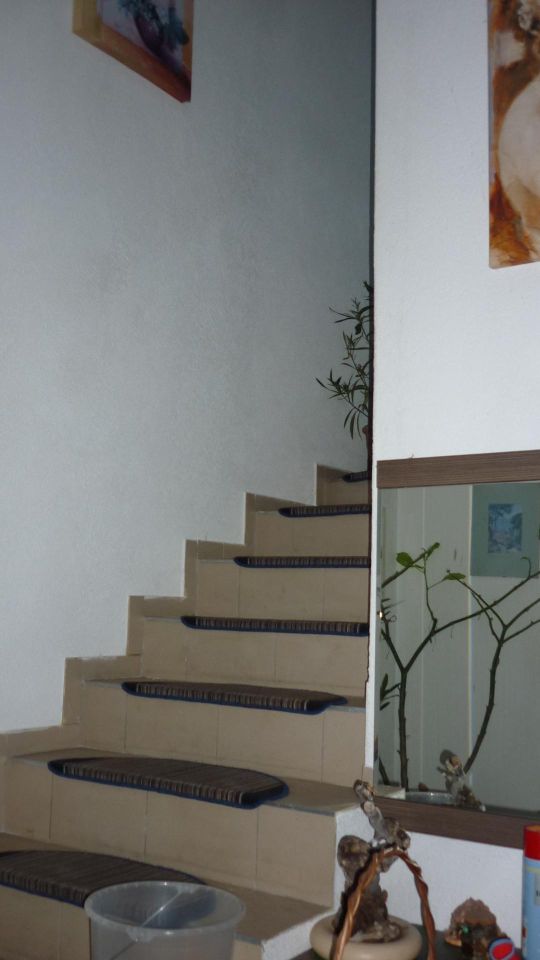 dom wolnostojący, 6 pokoi Lednogóra. Zdjęcie 6