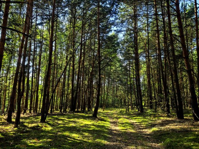 Działka budowlana Klizin. Zdjęcie 1