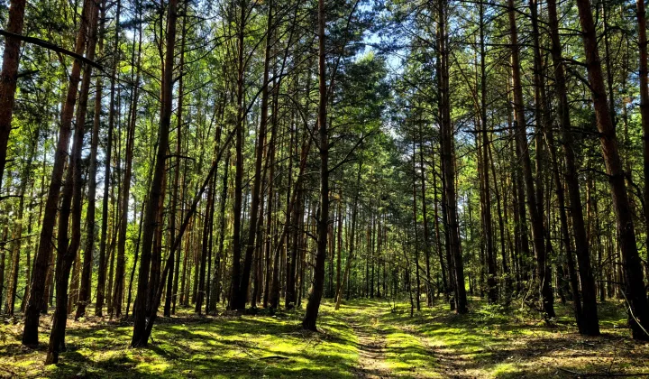 Działka budowlana Klizin