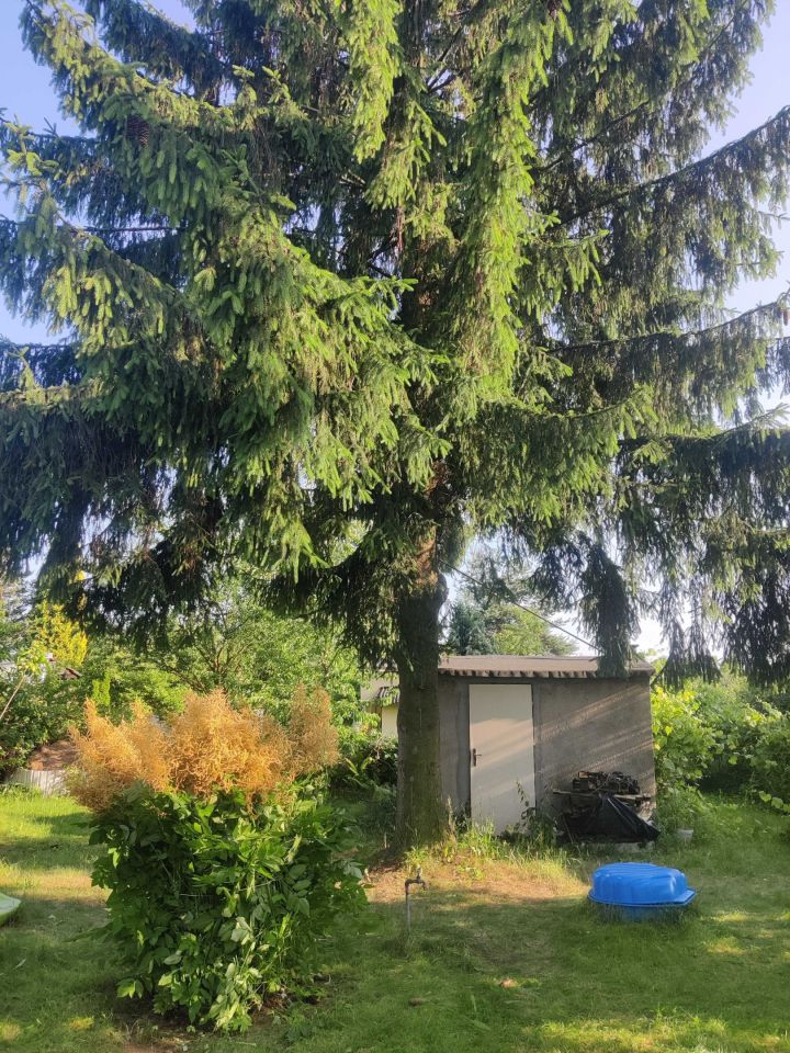 Działka rod Czeladź Piaski, ul. Józefa Poniatowskiego. Zdjęcie 6