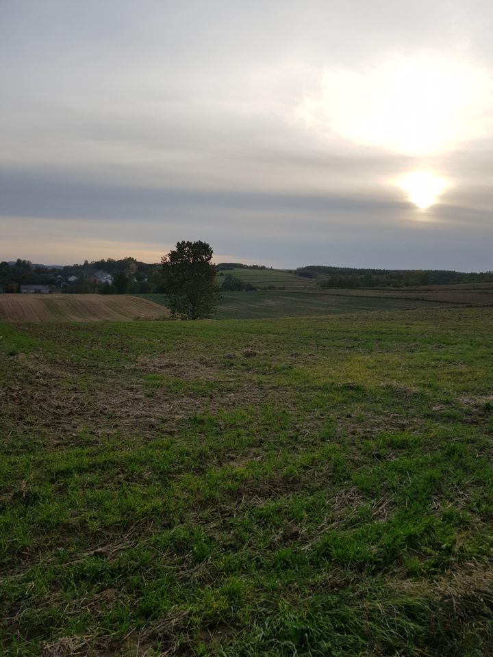 Działka rolno-budowlana Dobrogoszczyce, brak. Zdjęcie 3