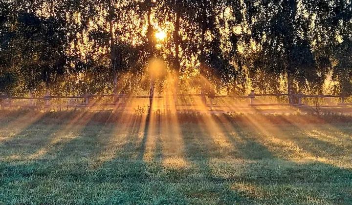 dom wolnostojący, 6 pokoi Michałki