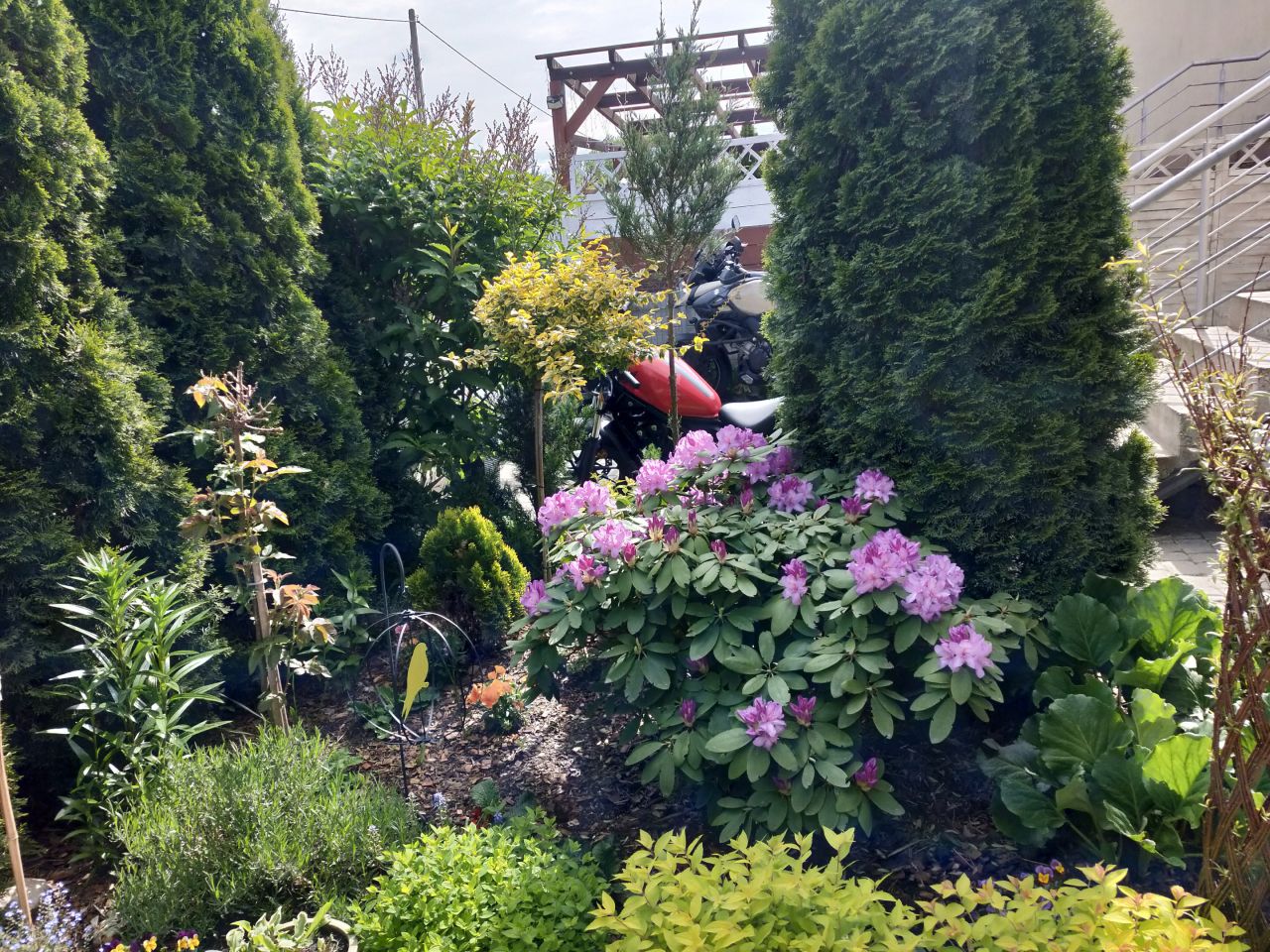 Mieszkanie 4-pokojowe Kobyłka Maciołki, ul. Podleśna. Zdjęcie 3