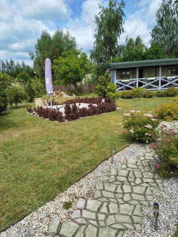 Działka rod Budy-Strzyże. Zdjęcie 1