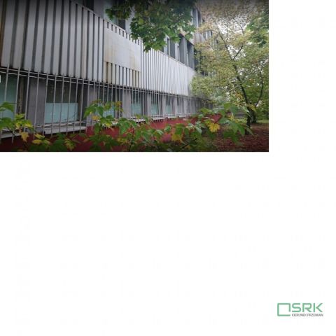 Działka inna Mysłowice, ul. Bernarda Świerczyny. Zdjęcie 3