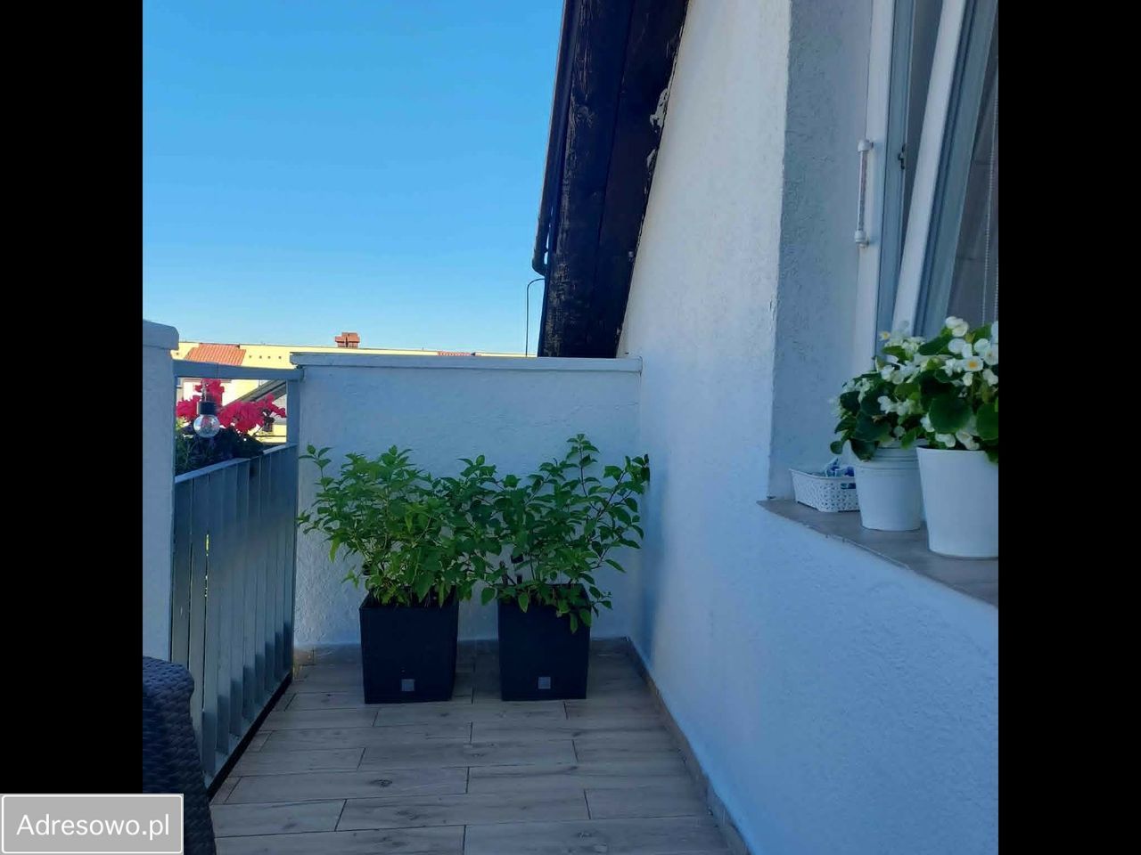 Mieszkanie 2-pokojowe Koszalin Centrum. Zdjęcie 12