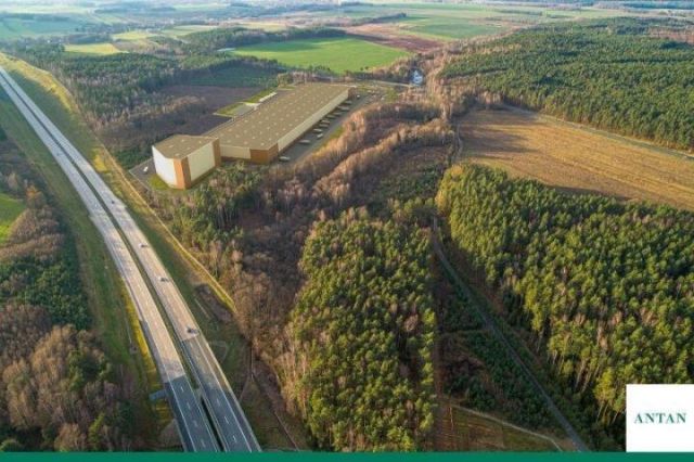Działka inwestycyjna Pieńsk. Zdjęcie 1