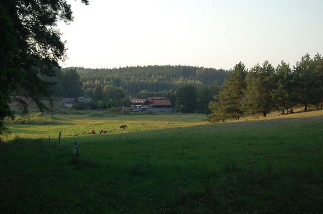 Działka rolno-budowlana Rychnowska Wola. Zdjęcie 1