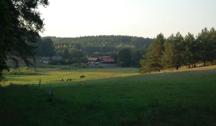 Działka rolno-budowlana Rychnowska Wola