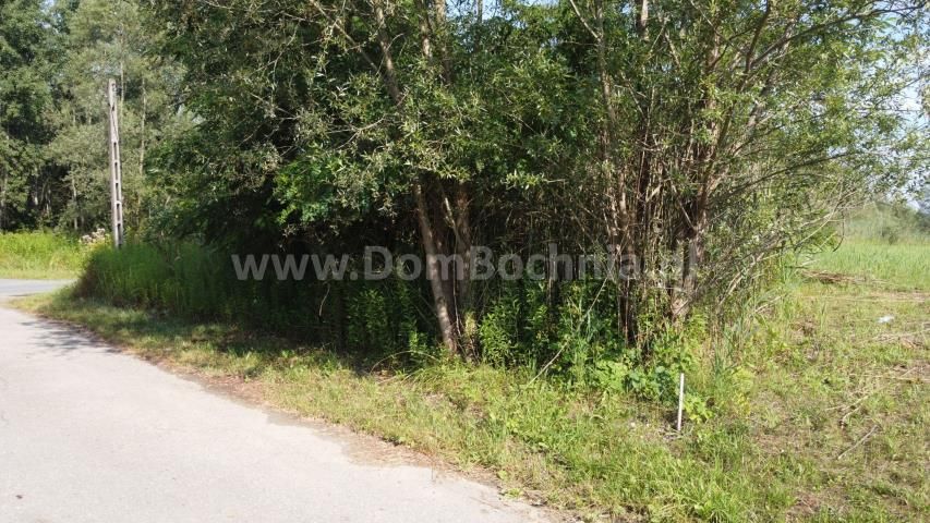 Działka rolno-budowlana Jodłówka. Zdjęcie 12